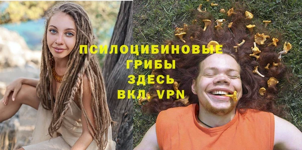 крисы Россошь