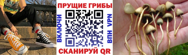 Псилоцибиновые грибы мухоморы  shop как зайти  Лыткарино 